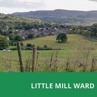Llanbadoc home page block - Little Mill Ward